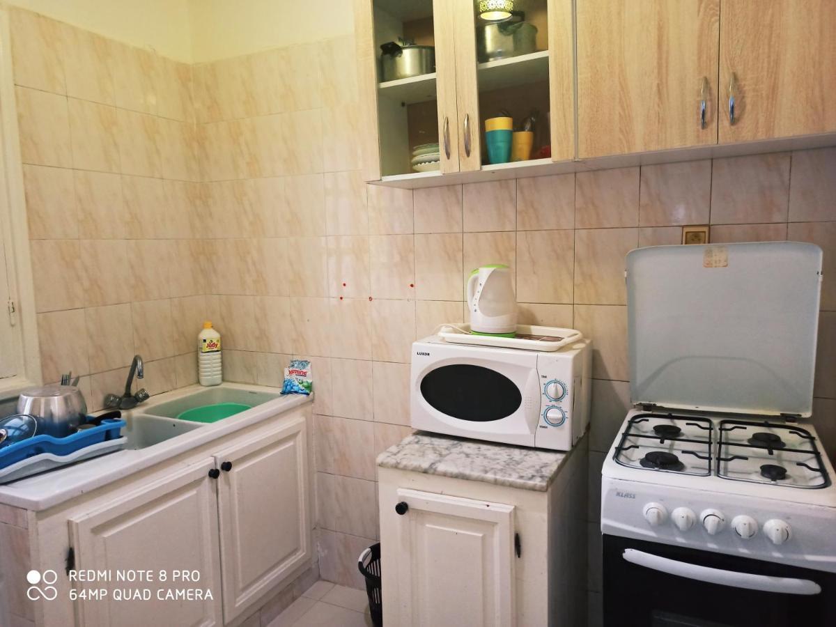 Apartment Tunis 1 Near Airport 艾尔亚奈 外观 照片